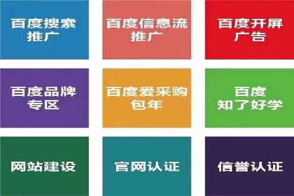 竞价推广公司案例揭秘：如何利用数据分析提升广告效果